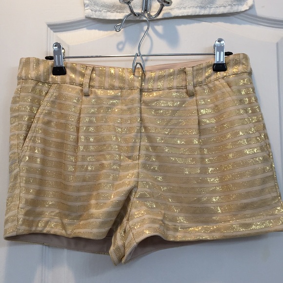 Forever 21 Pants - NWOT Shorts.